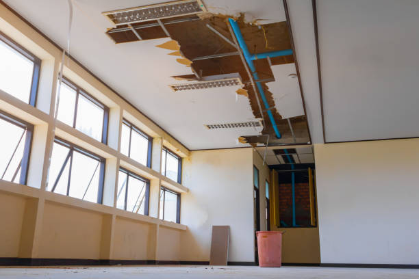  Le Roy, IL Water damage restoration Pros