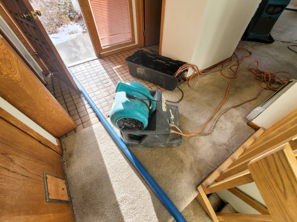 Best Commercial water damage restoration  in Le Roy, IL