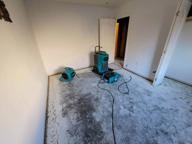 Best Water damage restoration near me  in Le Roy, IL