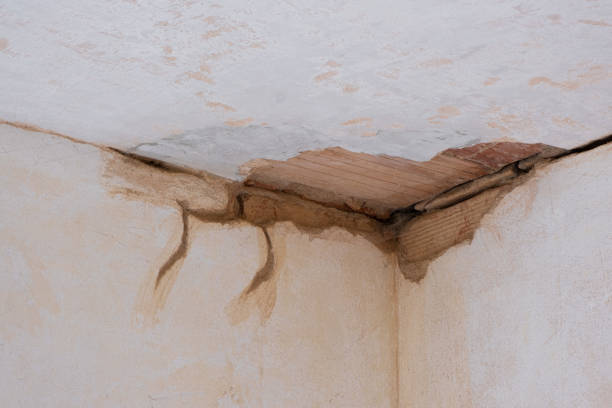 Professional Water damage restoration in Le Roy, IL