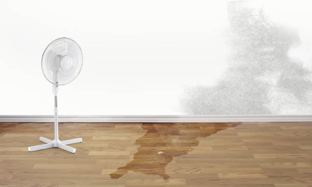 Best Water damage restoration near me  in Le Roy, IL