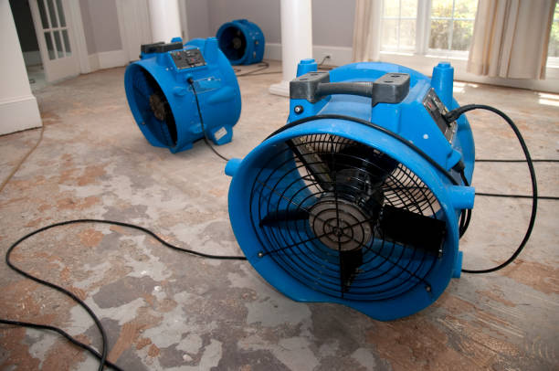 Best Flooded house restoration  in Le Roy, IL