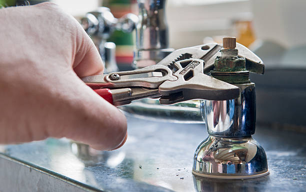 Best Flooded house restoration  in Le Roy, IL