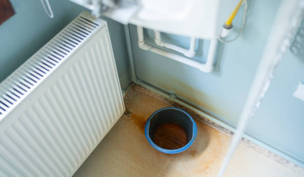 Best Flood damage cleanup  in Le Roy, IL